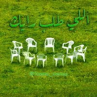 حمامة ميمز GIF