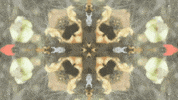 Art Film GIF by jorgemariozuleta