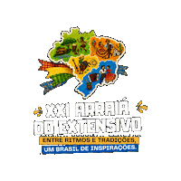 Sao Joao Arraia Sticker by Colégio Extensivo