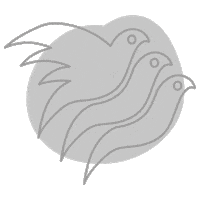 Illustration Wine Sticker by Weingut Masser