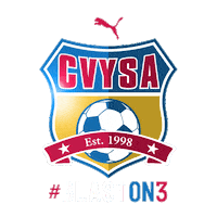 Blast Catawba Sticker by CVYSA