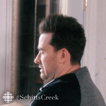 schitts creek what GIF by CBC