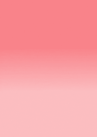 Ikebana_Basel giphyupload flower flowers calm GIF