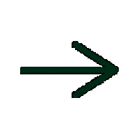 Sustera giphygifmaker arrow pointing next Sticker