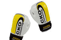 Ckologo Sticker by CKO Kickboxing LLC