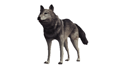 Sticker Bundesliga Sticker by VfL Wolfsburg