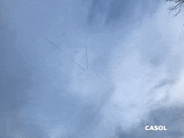 North America Travel GIF by Casol