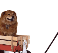 Happy Car Sticker by Juanma Salazar