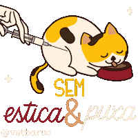 Gatos Sticker by VetBaruc