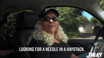 Looking For A Needle In A Haystack