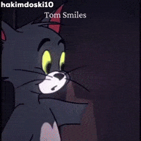 Tom And Jerry GIF