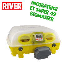 Eggs Chicks Sticker by River Systems