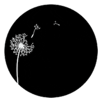 Circle Sticker by 2raumstil