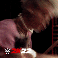 Video Game GIF by 2K Games