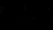 Cine Pelicula GIF by Diamond Films Latam
