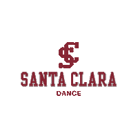 Go Broncos Sticker by Santa Clara Broncos