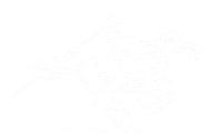Pale Horse Sticker by Zero Skateboards