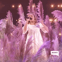 sonychannelbr  GIF