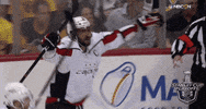 happy ice hockey GIF by NHL