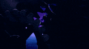elphaba GIF by Broadway.com