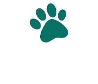 Dog Pet Sticker by HelloBello Frischfutter