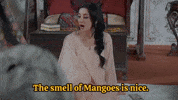 Aam Mangoes GIF