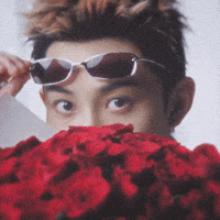 4Shoboiz GIF