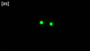 Eyes Glow GIF by Adult Swim
