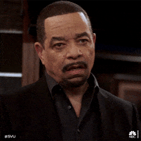 Nbc What GIF by SVU