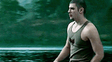 hpmeme GIF