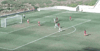 women's soccer GIF by Orlando Pride