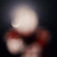 Lets Go Football GIF by Huskers