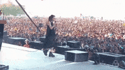 bonnaroo 2016 GIF by Bonnaroo Music and Arts Festival