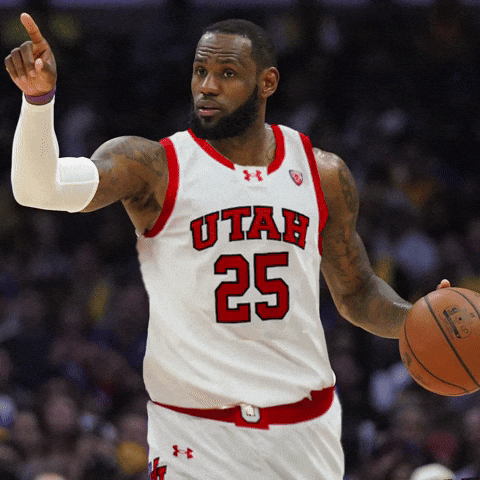 Lebron James Utah GIF
