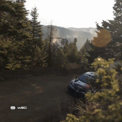 Driving Slow Motion GIF by FIA World Rally Championship