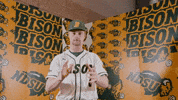Baseball Bison GIF by NDSU Athletics