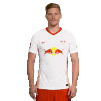 Posing Line Up Sticker by Bundesliga