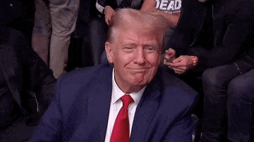 Donald Trump Sport GIF by UFC