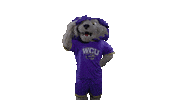 western_carolina graduation paws class of 2020 wcu Sticker