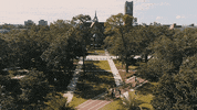 good morning GIF by University of Florida