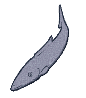 Lake Malawi Swimming Sticker by himHallows