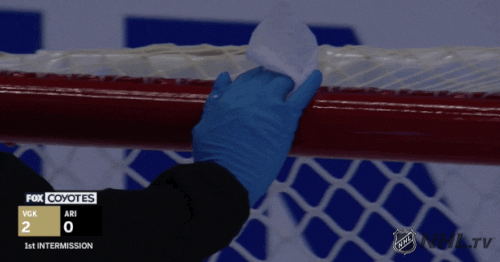 Ice Hockey GIF by NHL
