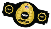 Mixed Martial Arts Mma Sticker by NEFights