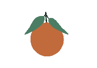 Citrus Sinasappel Sticker by Studio Paper