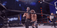 Aew On Tnt Darby Allin GIF by All Elite Wrestling on TNT