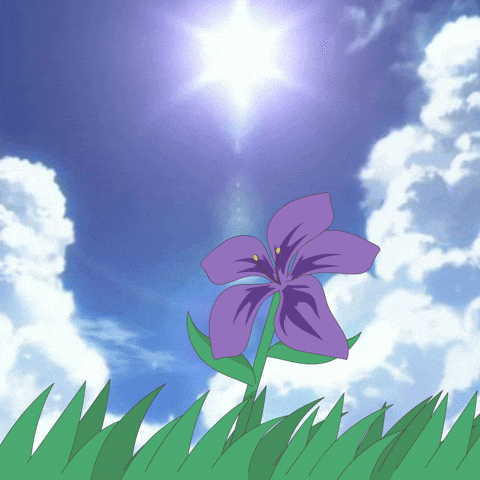Season Kawai GIF
