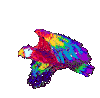 parrot flying STICKER