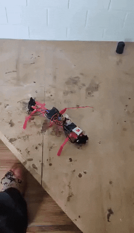 Hoppmeister giphyupload GIF