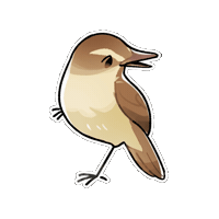 Firuo_drawingbirds bird 鳥 acrocephalus orientalis oriental reed warbler Sticker