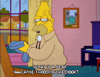 Season 6 Episode 25 GIF by The Simpsons